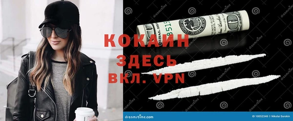 СК Новозыбков