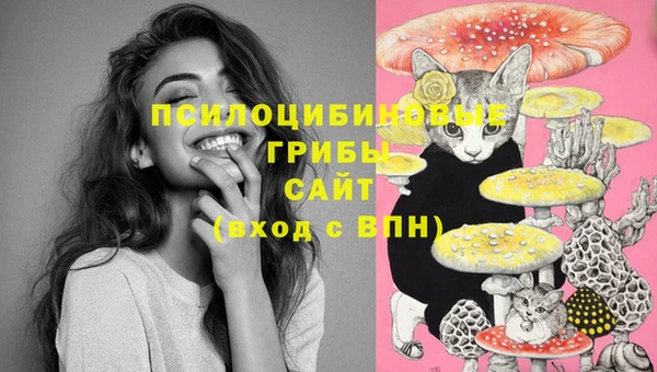 СК Новозыбков