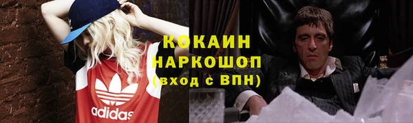 тгк Новодвинск