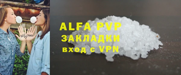 тгк Новодвинск