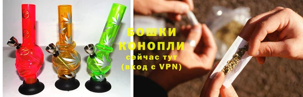 СК Новозыбков