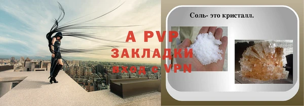 тгк Новодвинск