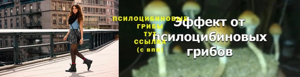 стафф Нея