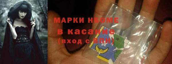 СК Новозыбков
