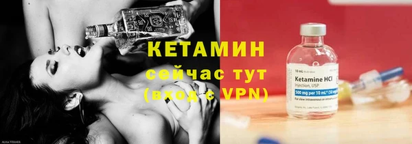 СК Новозыбков