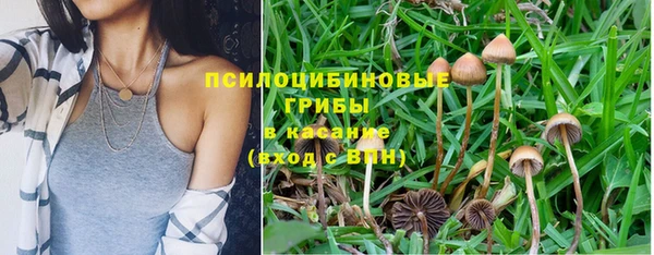 тгк Новодвинск