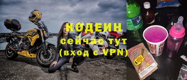 СК Новозыбков