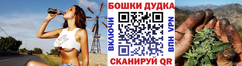 Шишки марихуана гибрид  KRAKEN ONION  Питкяранта  где продают наркотики 